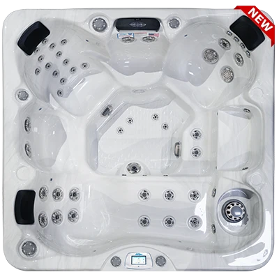 Avalon-X EC-849LX hot tubs for sale in Chesapeake