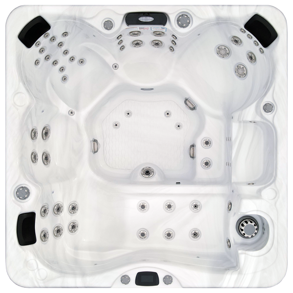 Avalon-X EC-867LX hot tubs for sale in Chesapeake